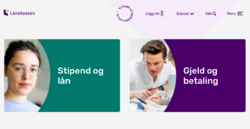 Gustav Aagesen er chief data officer i Lånekassen. Han mener iherdig innsats er veien til digital innovasjon i offentlige virksomheter. Illustrasjonsbilde: Fra forsiden av laanekassen.no