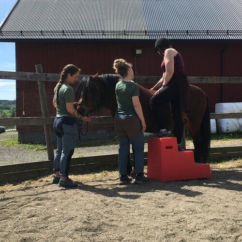 Deltakere på kurs Deltakere på kurs