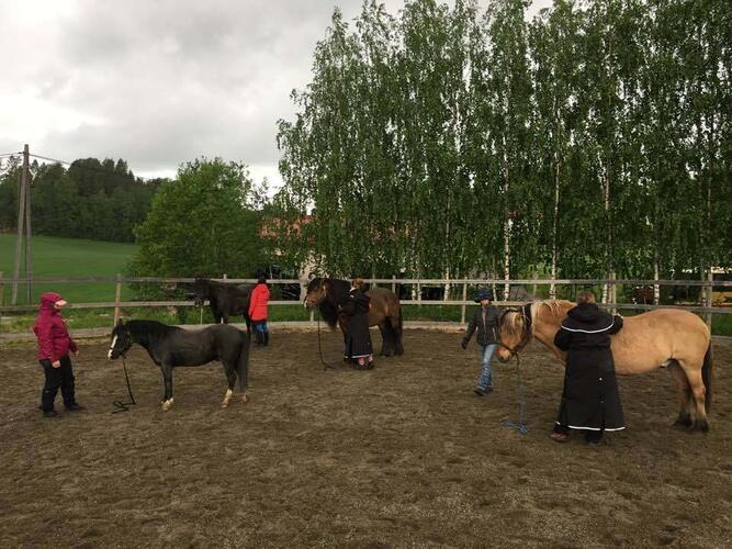 Deltakere på kurs