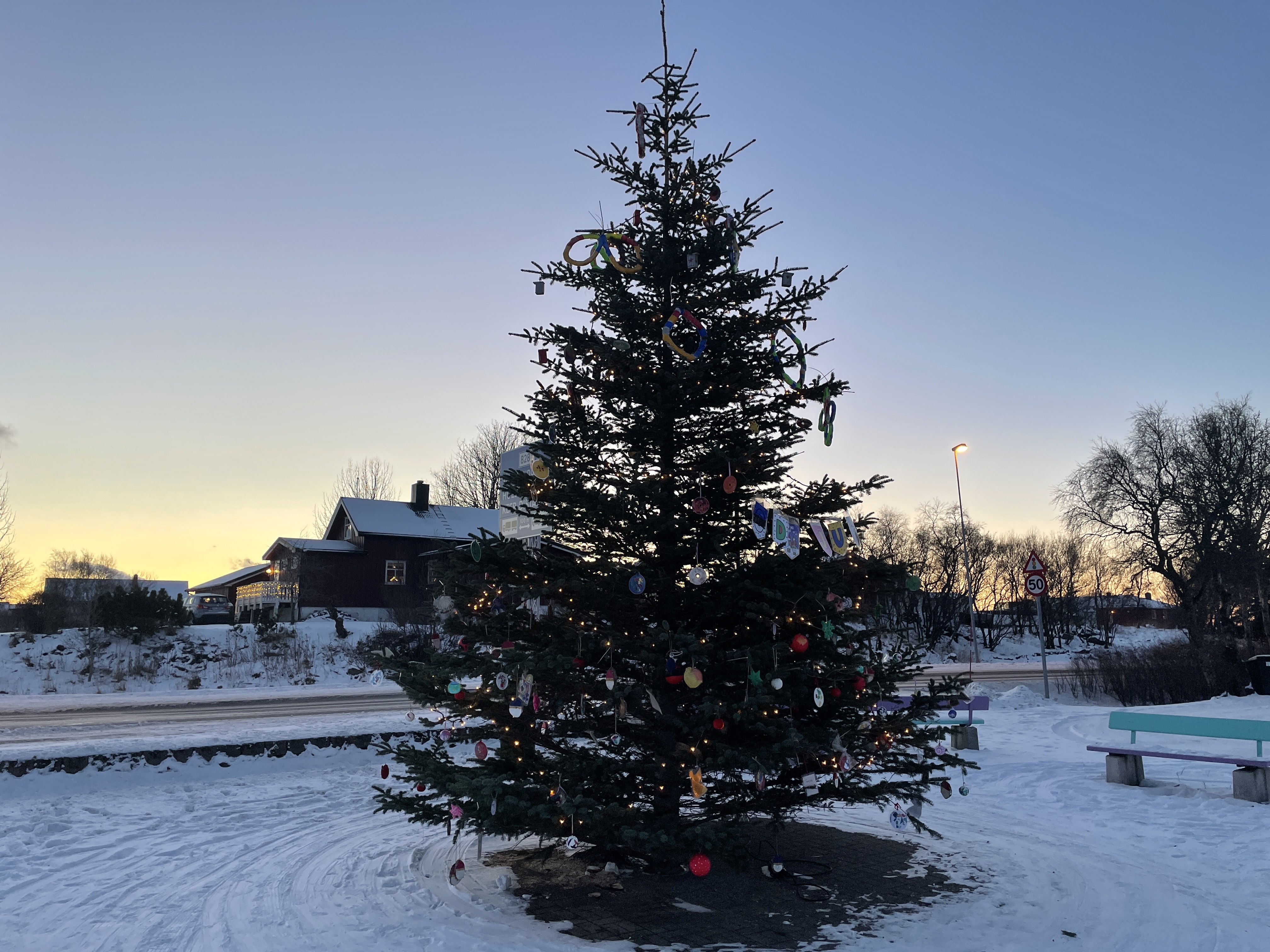 Julegrana i Herøy 2021_hoved
