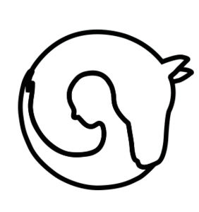 Hjørgunn logo