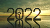 Tallet 2022 m/yogine i solnedgang, foto