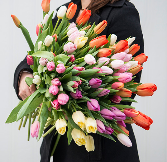 tulipaner-6-tulipanens-dag-ny-2022-floriss.jpg