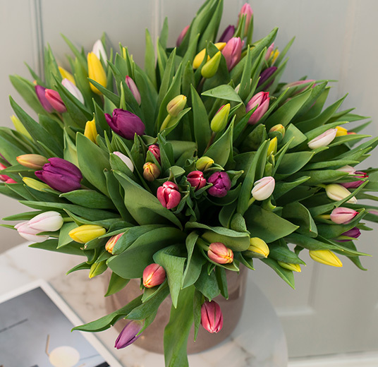 tulipaner-miks-5-tulipanens-dag-ny-2022-floriss.jpg