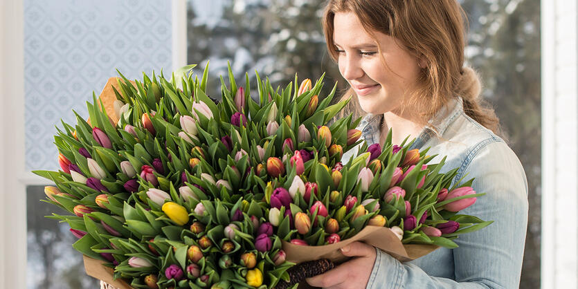 Sett farge på tilværelsen med<br/> norske tulipaner