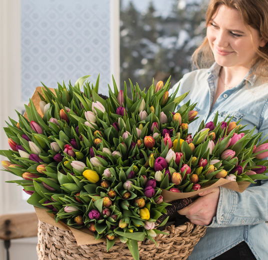 tulipaner-miks-7-norske-tulipaner-ny-2022-floriss.jpg
