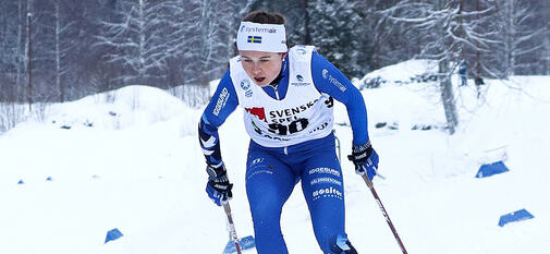 20220116, ERICSSON Tove kopiera