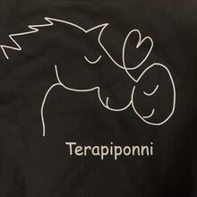 Terapiponni logo
