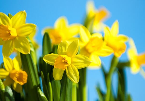 Påsken 2022 i kirken