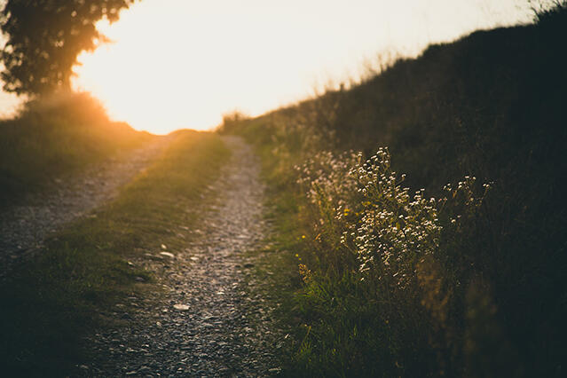 francesco-gallarotti_Unsplash_free_use