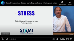 Stress, Stein Knardahl