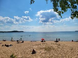 Sommer på Hasselø. Foto: Kirsti Kierulf
