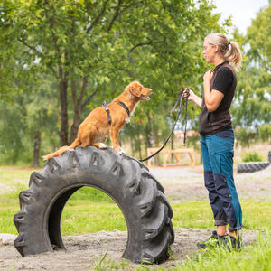 Mjøsa Hundepark