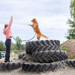 Mjøsa Hundepark