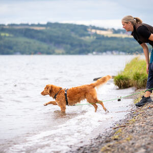 Mjøsa Hundepark