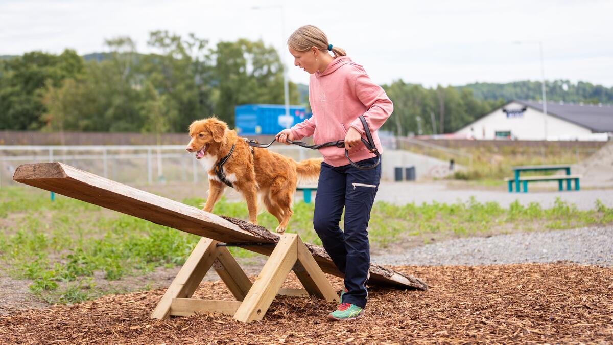 The Mjøsa Dog Park - Mjøsparken