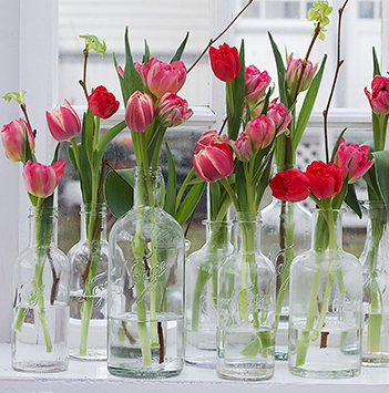rosa-og-rode-tulipaner-i-vaser-i-vinduet-floriss.jpg