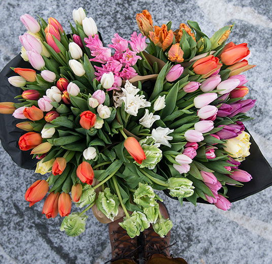 tulipaner-bukett-i-mange-farger-8-floriss.jpg
