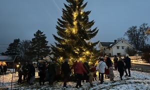 Julegrantenning på Grindvoll