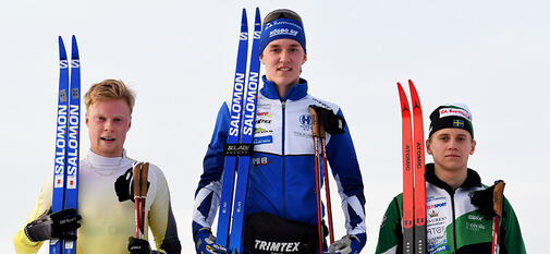 20230212, BAUHAUS H19-20 pallen kopiera