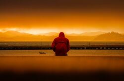 Illustrasjonsfoto: Quintin Gellar / Pexels