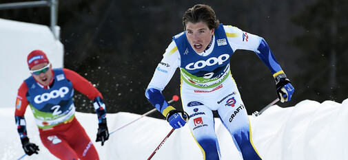 20230224, POROMAA William 001 kopiera