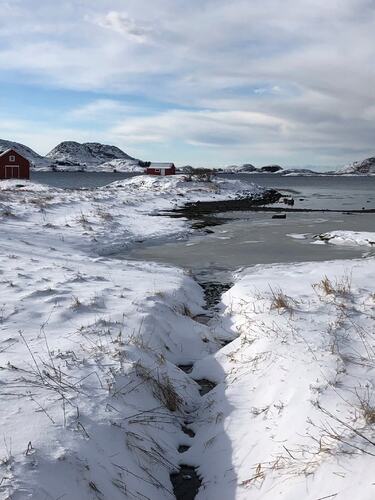 Det er vakkert på denne øya med snøen også. (Foto: Ann-Kristin Paulsen)