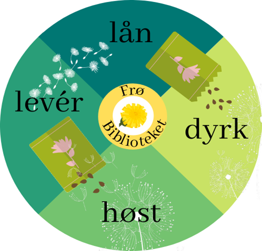 Illustrasjonstegning som viser prinsippet for frøbiblioteket: lån-dyrk-sank-lever
