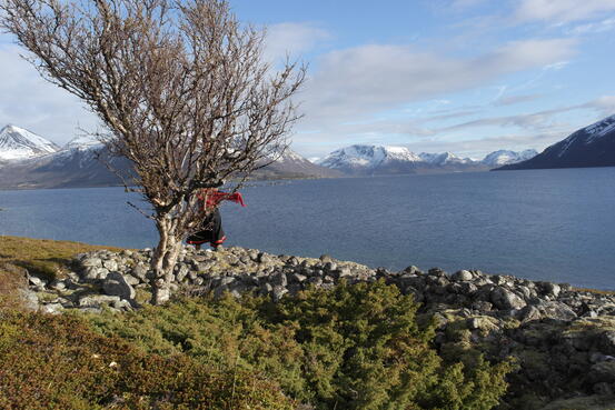 Landskapsbilde Kvæfjord