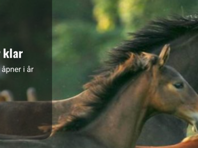 Stiftelsen hästforskning logo og utlysning