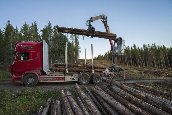 Illustrasjonsfoto tømmerbil: Steinar Johansen/Statskog (CC BY-NC 2.0)