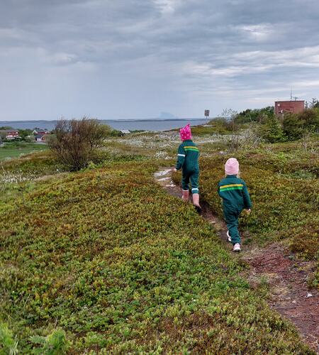 Tur på Storhågen, Seløy. (Foto: Kirsti Jakobsen Karlsen)