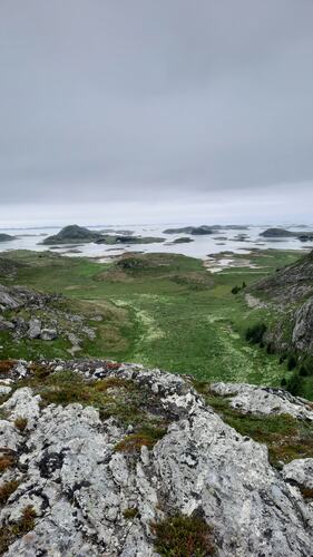 Utsikt fra Kveldfjellet i Øksningan. (Foto: Ellinor Bell)