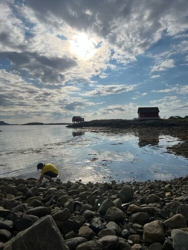 Leter etter krabber på Seløya, i nydelig vær. (Foto: Anne Berit Hanssen)