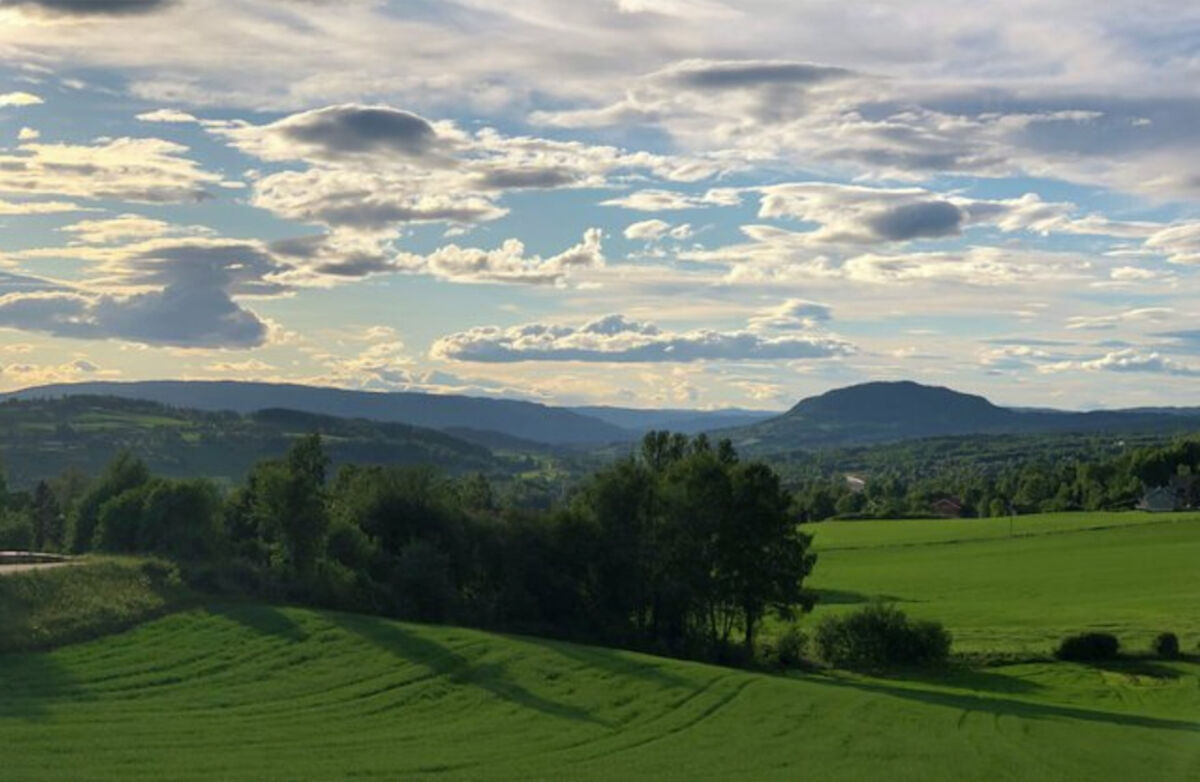 Naturbilde fra området rundt Framstadtoppen