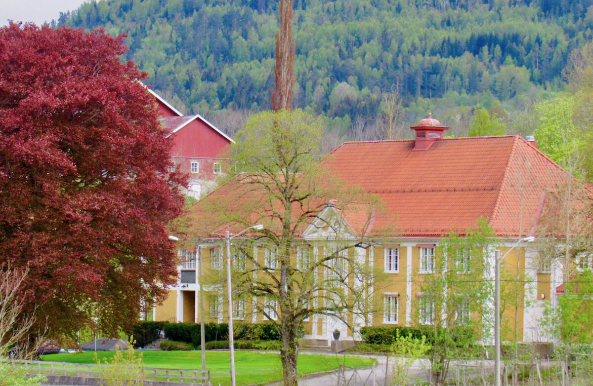 Fra Lier kommune. Foto: Torbjørn Vinje