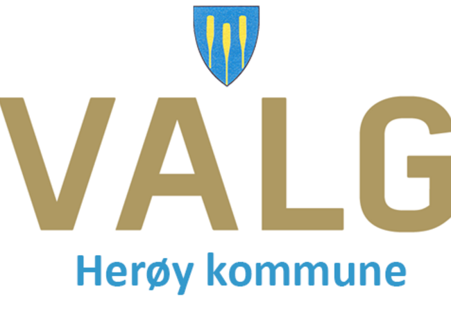 Valg 2025