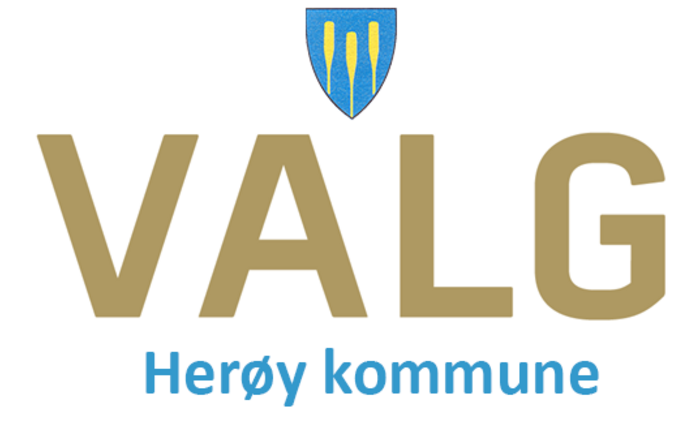 Valg 2025