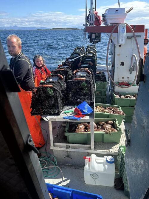 Ungdomsfiske i Herøy 2023_Ståle med krabber