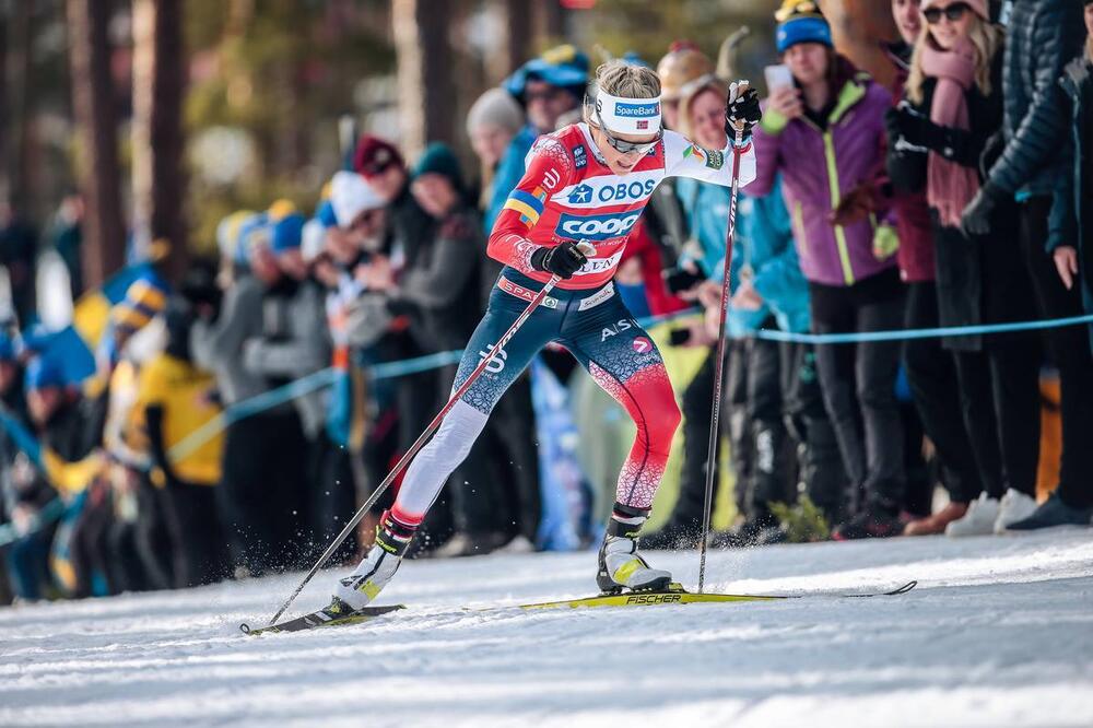 Photo : Nordic Focus