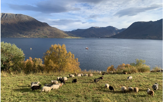 Utsikt i kvæfjord. Foto: Ellen Ervik