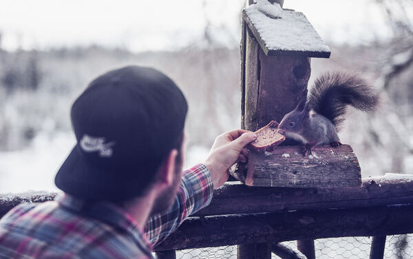 Mann som mater ekorn fra hånden