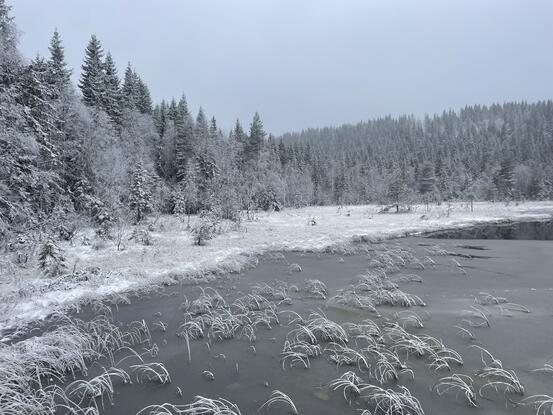 Sølvtjern ved Brovoll om vinteren