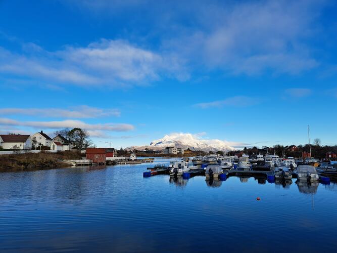 Nydelig dag fra Herøy. (Foto: Kristin Furu Grande)