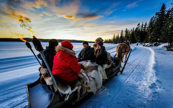 Kanefart med islandshest