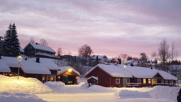 Lundenjordet bufellesskap vinter