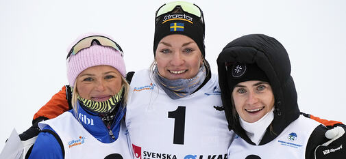 Prispall dam kopiera