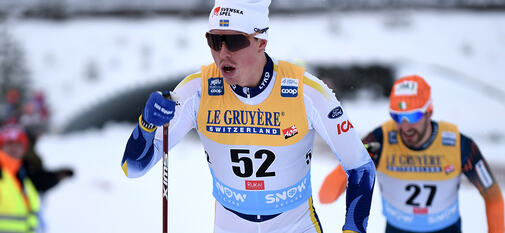 20231125, POROMAA William 001 kopia