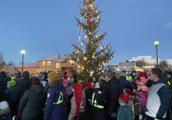 Julegrantenning 2023_juletregang