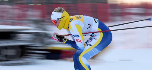 20231209, SVAHN, Linn 010 kopiera